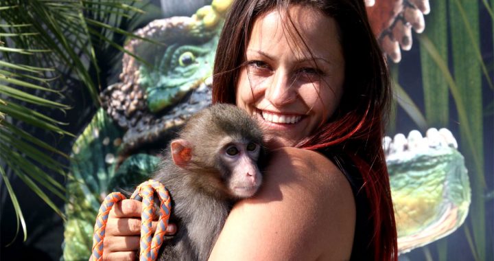 Émilie Gaudry de Repti-Zone fait revivre le Zoo de Saint-Édouard