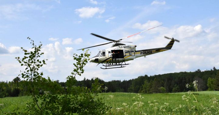Consignes et interdictions en lien avec les feux de forêt