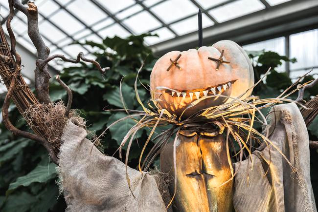 Frissons d’Halloween au Jardin botanique de Montréal : à vos grimoires!